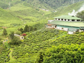 AMAZING KERALA (13 DAYS) J.DATE- 16/10/26, 12/11/26, 20/12/26